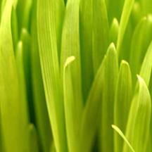 网站攻击工具手机版