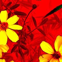 免费ddos平台攻击