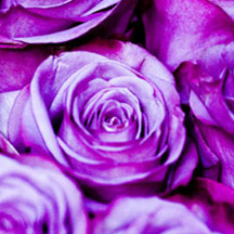 DDOS在线压力测试